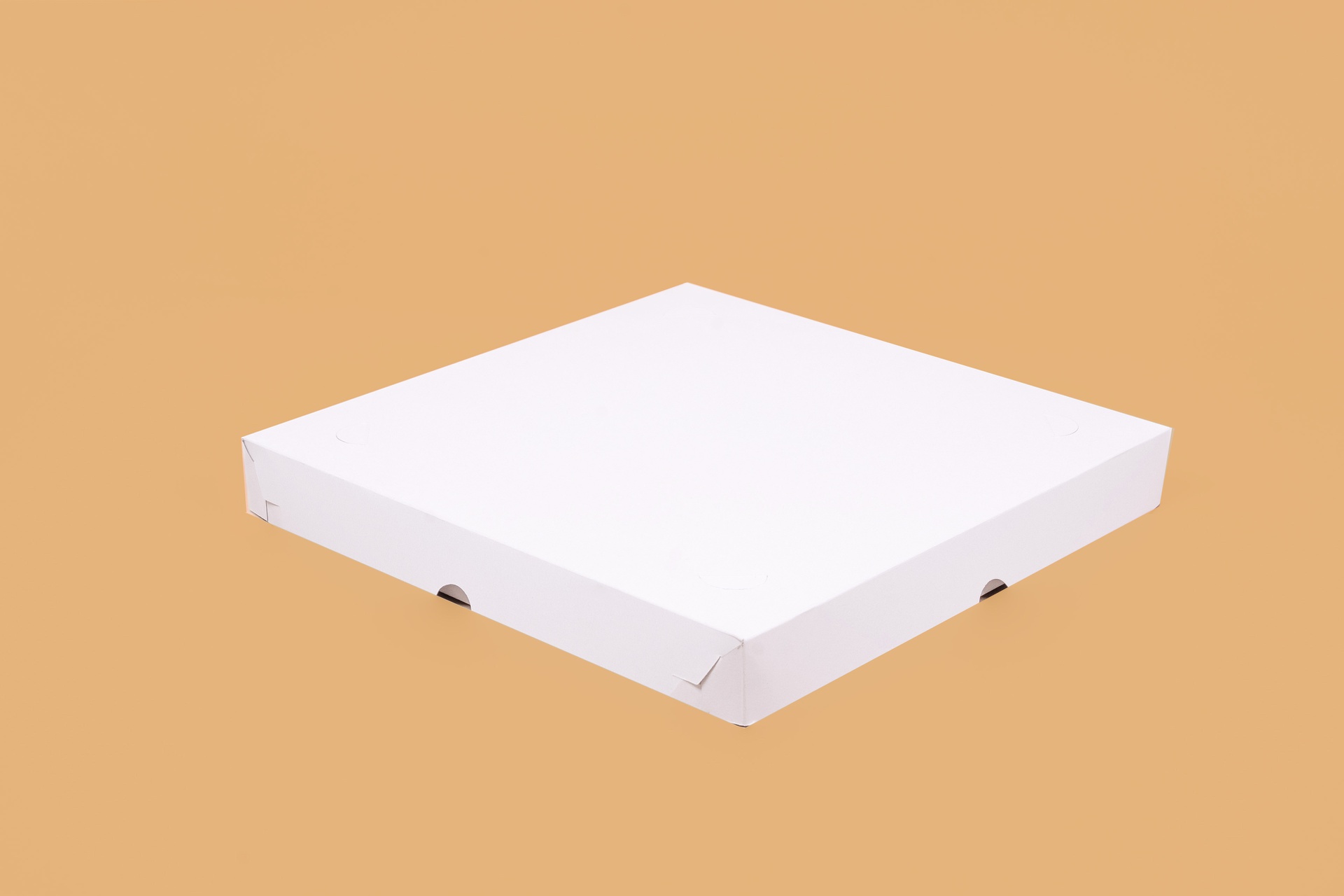 FLEXIBLES_TAPA P/ PIZZA_320X320X4 _DUPLEX_BLANCA