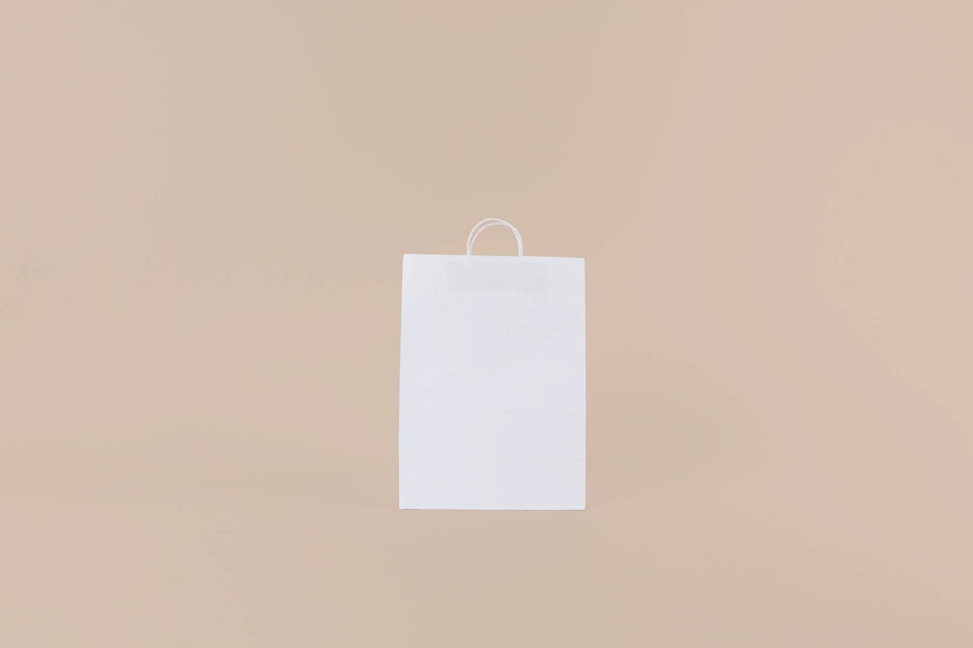 BOLSA_FC #06_BOLSA_28X40X15CM_BLANCO_C/ MANIJA TOR.