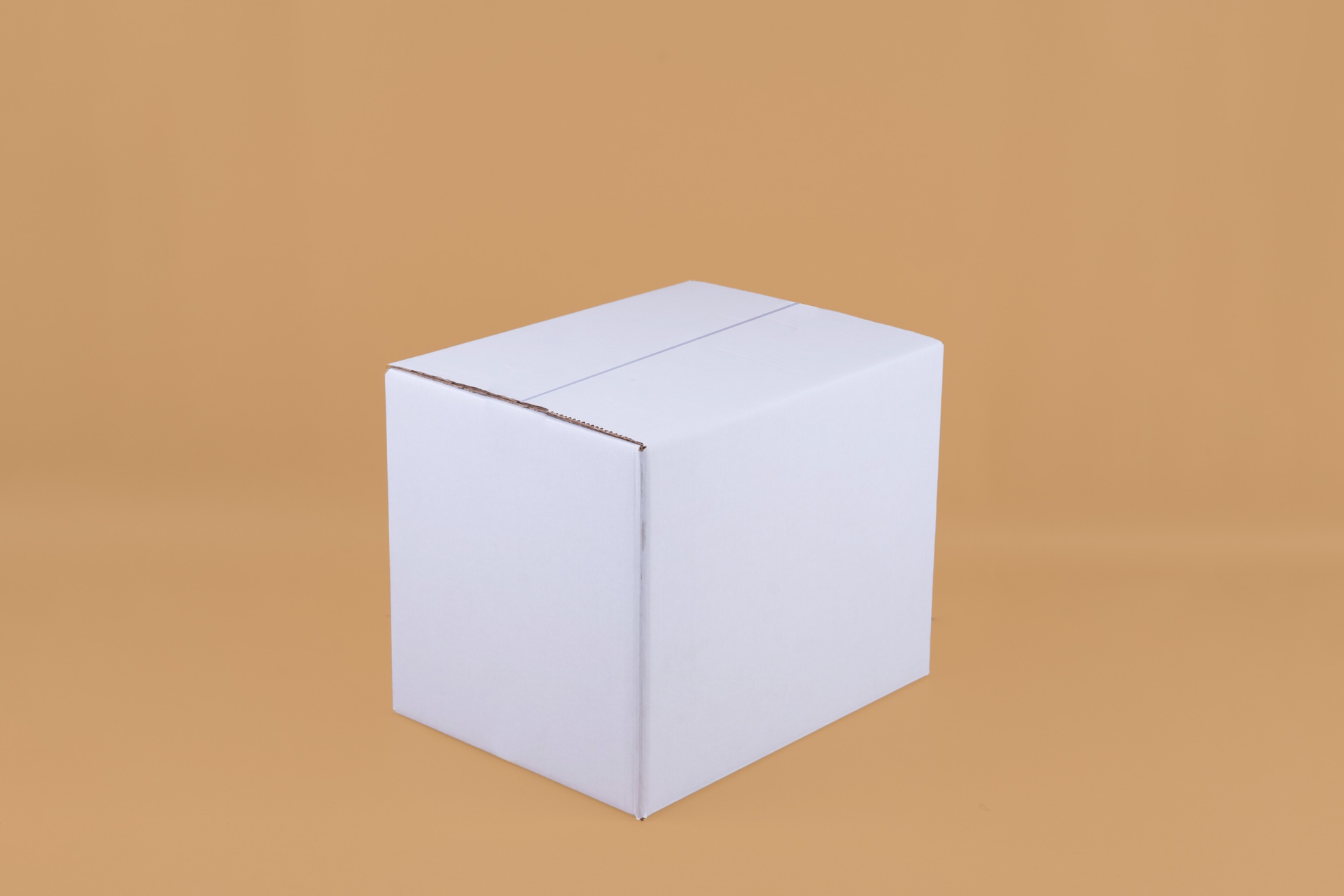 CAJA_TIPO MULTIUSO_35X27X28 CM_BLANCO