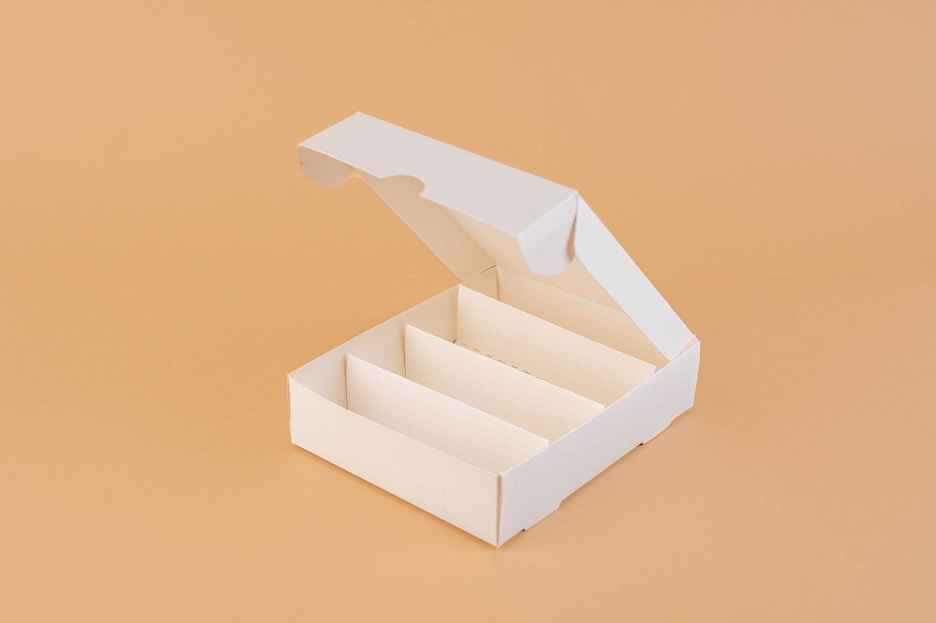 FLEXIBLES_SEPARADOR P/SUSHI_20 PZ N°1