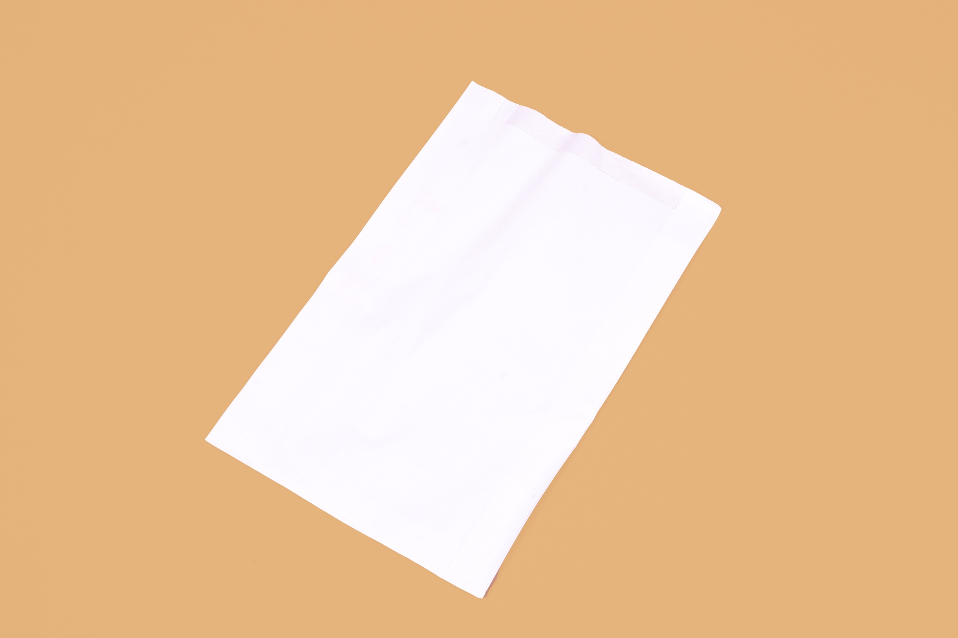 BOLSA_FP #10_BOLSA_22X35,5X6CM_BLANCO_