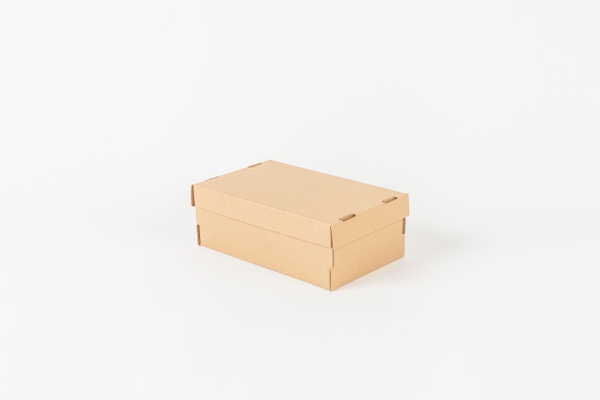 CAJA_TROQUELADA N°9_TAPA_34X21X11 CM_MARRON