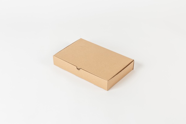 CAJA_TROQUELADA N°10_34X34X7CM_MARRON