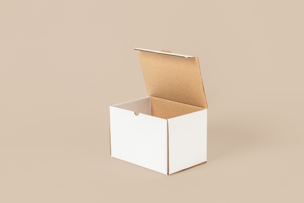 CAJA_TIPO RILAPE_24X16X16 CM_BLANCO