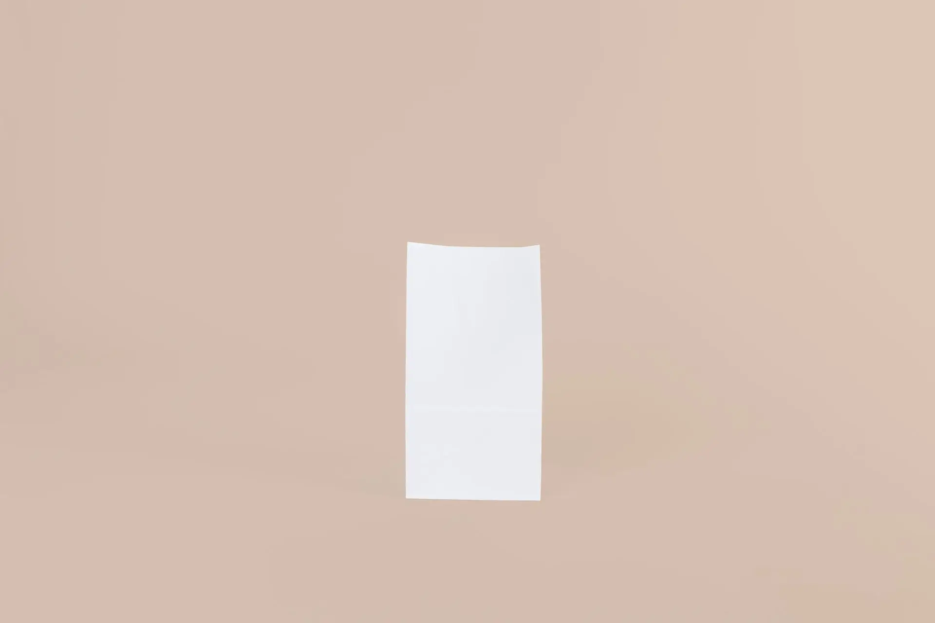 BOLSA_FC #02_18X32,5X12CM_BLANCA_ S/ MANIJA