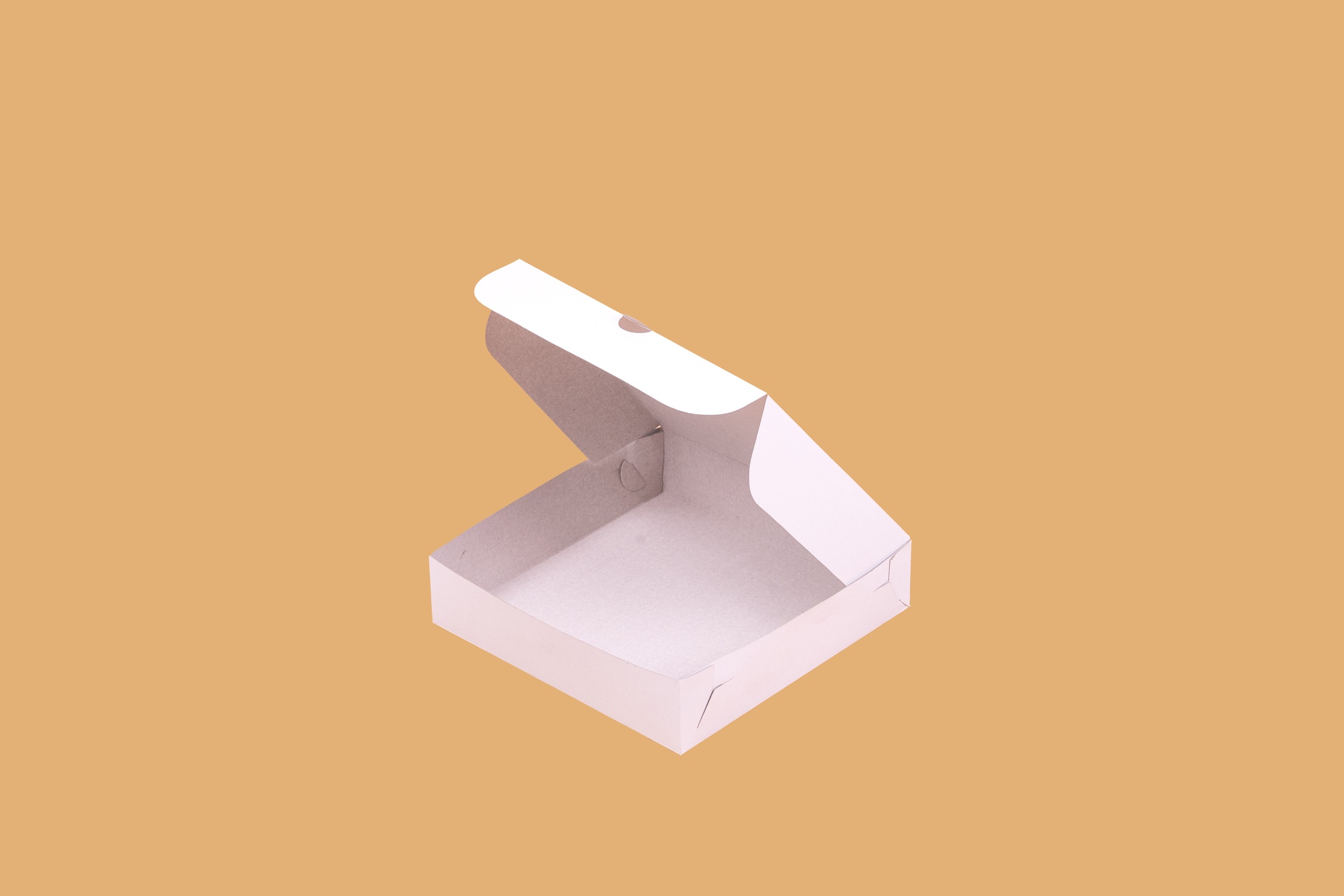 FLEXIBLES_CAJA DUPLEX C/ TAPA_24CMX24,5CMX6CM