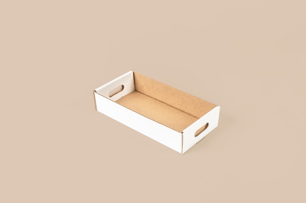 BANDEJA_RECTANGULAR N°2_37X18X8 CM_BLANCO