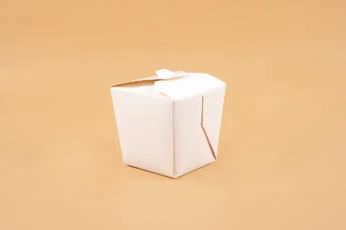 FLEXIBLES_CAJA WOK 600 ML_9X9X7 CM