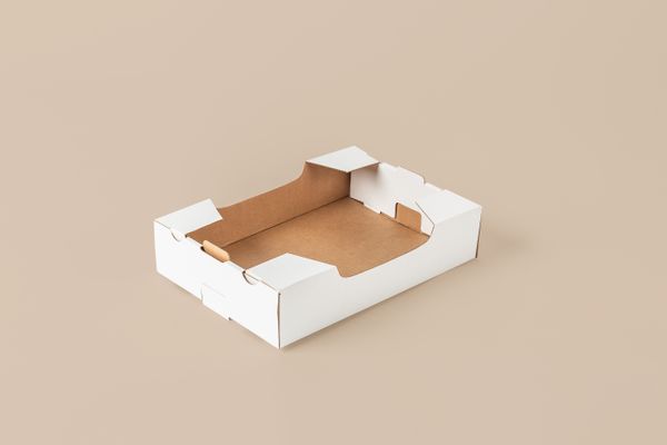 BANDEJA_P/FRUTAS_34X23X8 CM_BLANCO
